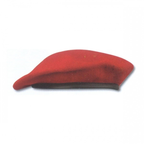 Berets Cap